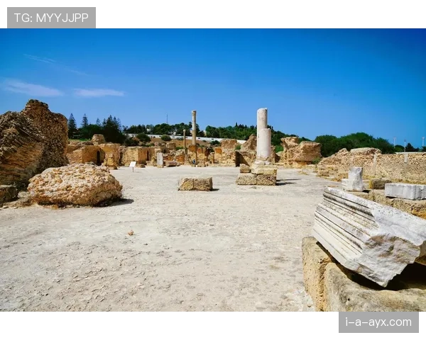 突尼斯考古新突破：迦太基遗址发掘揭示古代文明新面貌