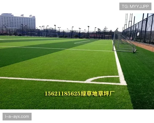 足球球场结构与功能详解：从草皮到看台的专业设计