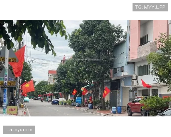 越南队金星旗海近期表现稳健，竞争力持续提升