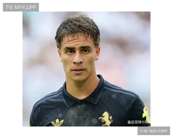 伊尔迪兹新星崛起解析 伊尔迪兹新星崛起解析